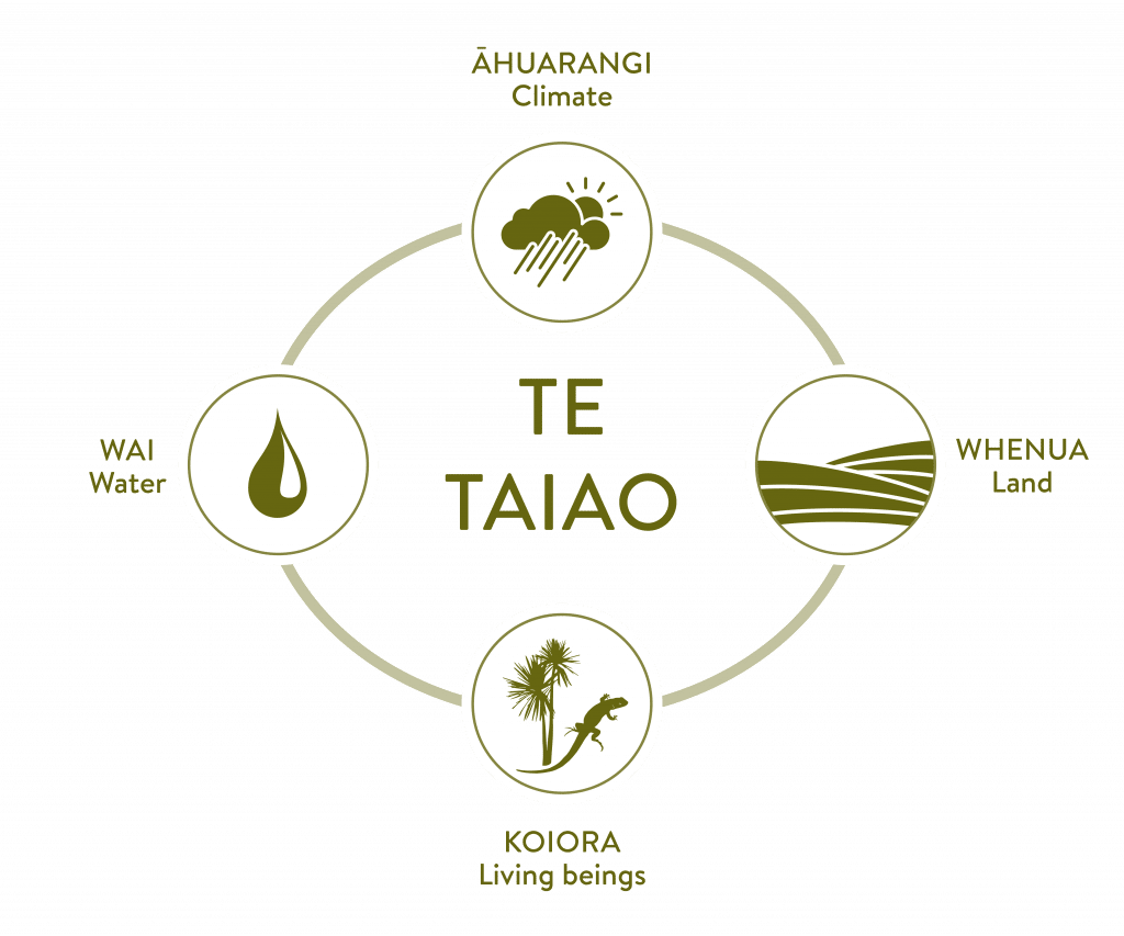 The concept of Te Taiao and its four interconnected components.